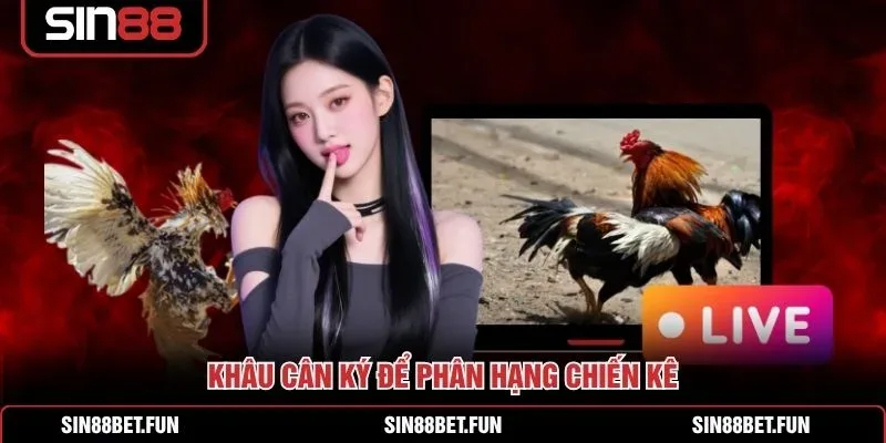 Bảng tỷ lệ ba cửa Meron, Wala và BDD trong trận chọi kê