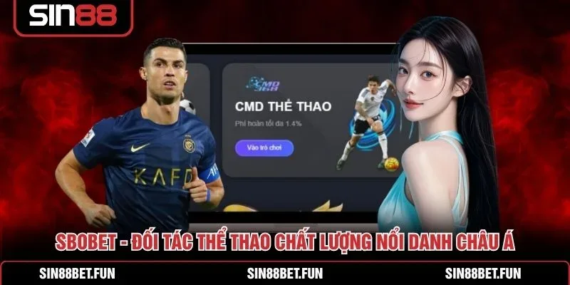 Quy trình 5 bước đặt cược thể thao dành cho người chơi mới